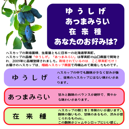北海道産冷凍ハスカップ 1kg〈あつまみらい＆在来オールスターズ〉※１回のご購入で１セットまで