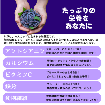 北海道産ハスカップシロップ150g