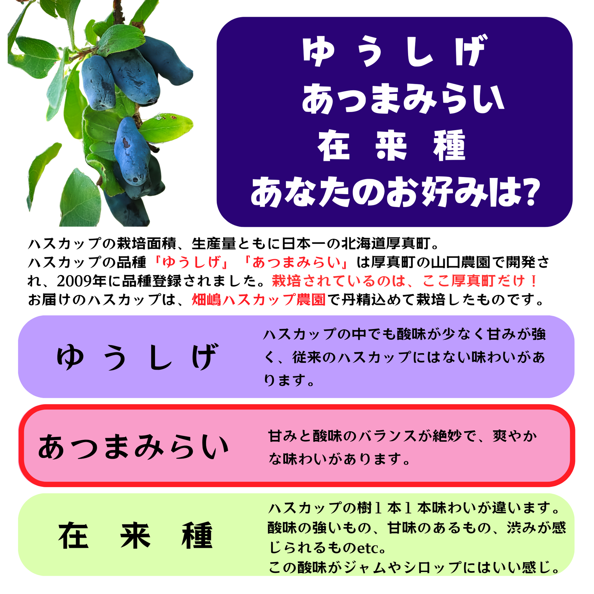ゆうしげとあつまみらいの特徴を比較したインフォグラフィック