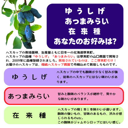 ゆうしげとあつまみらいの特徴を比較したインフォグラフィック