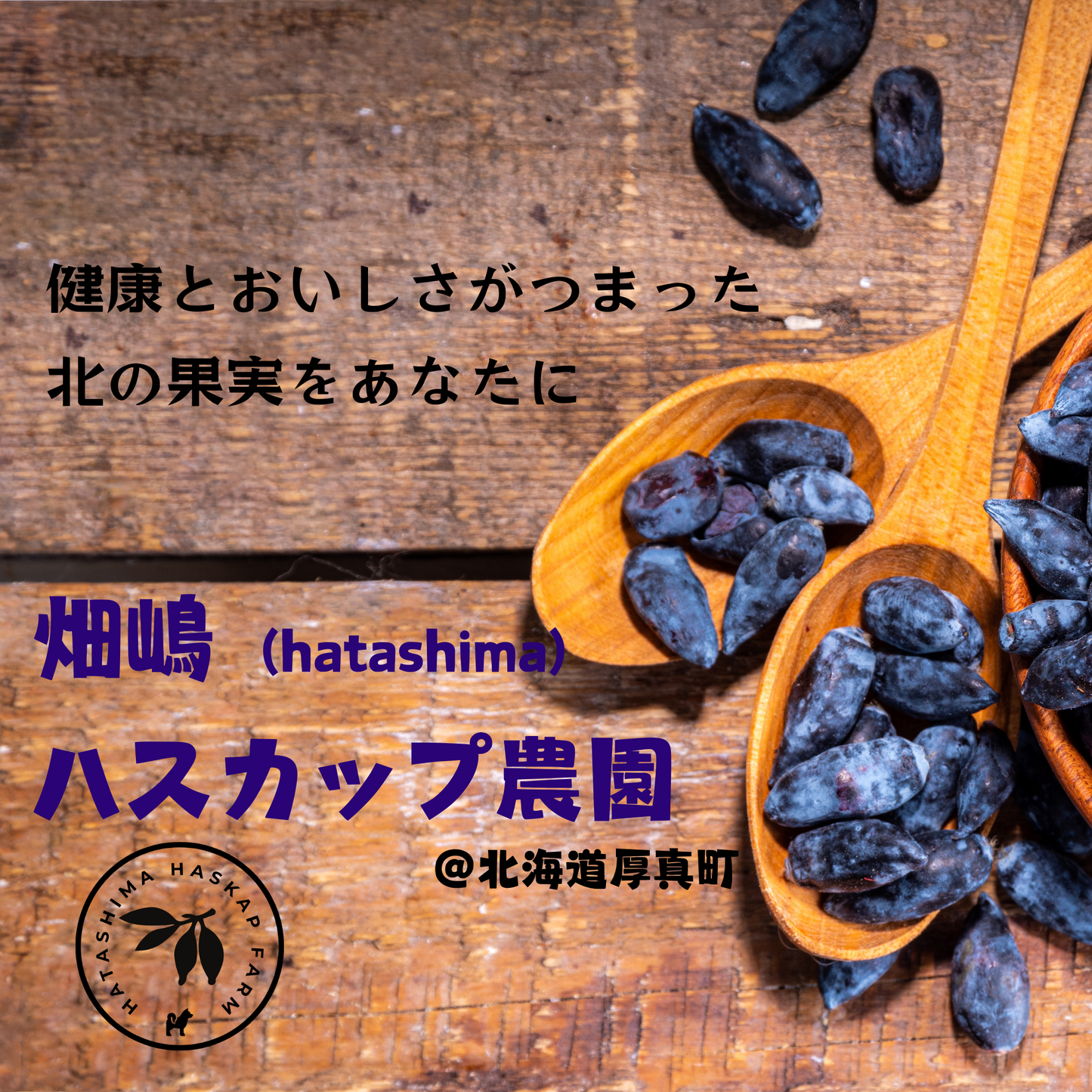 畑嶋ハスカップ農園のブランドロゴと果実