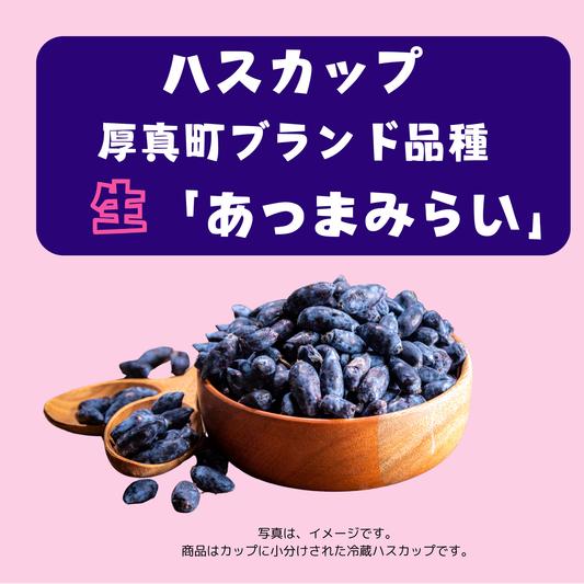 北海道冷蔵ハスカップ640g（あつまみらい）の商品イメージ