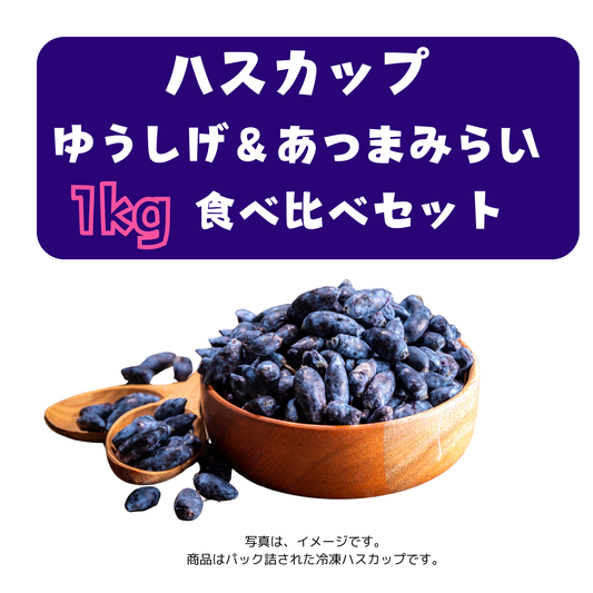北海道ハスカップ1kg食べ比べセット（ゆうしげ&あつまみらい）の商品イメージ
