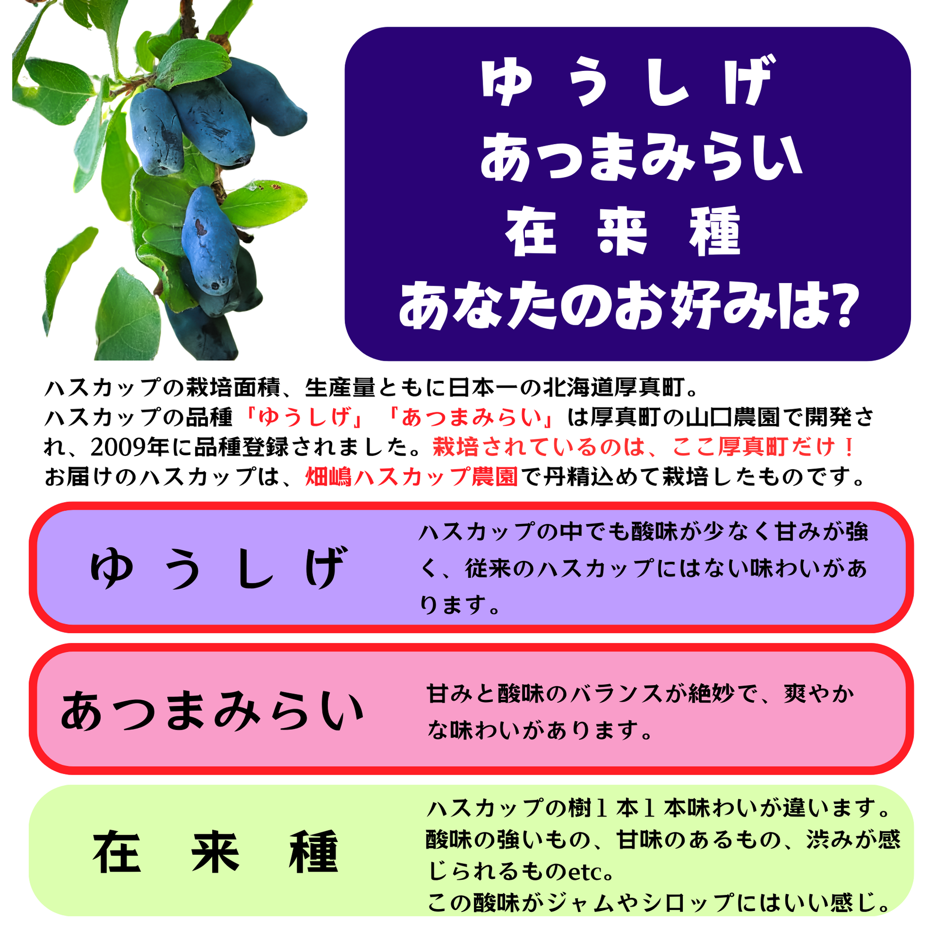 ゆうしげとあつまみらいの特徴を比較したインフォグラフィック