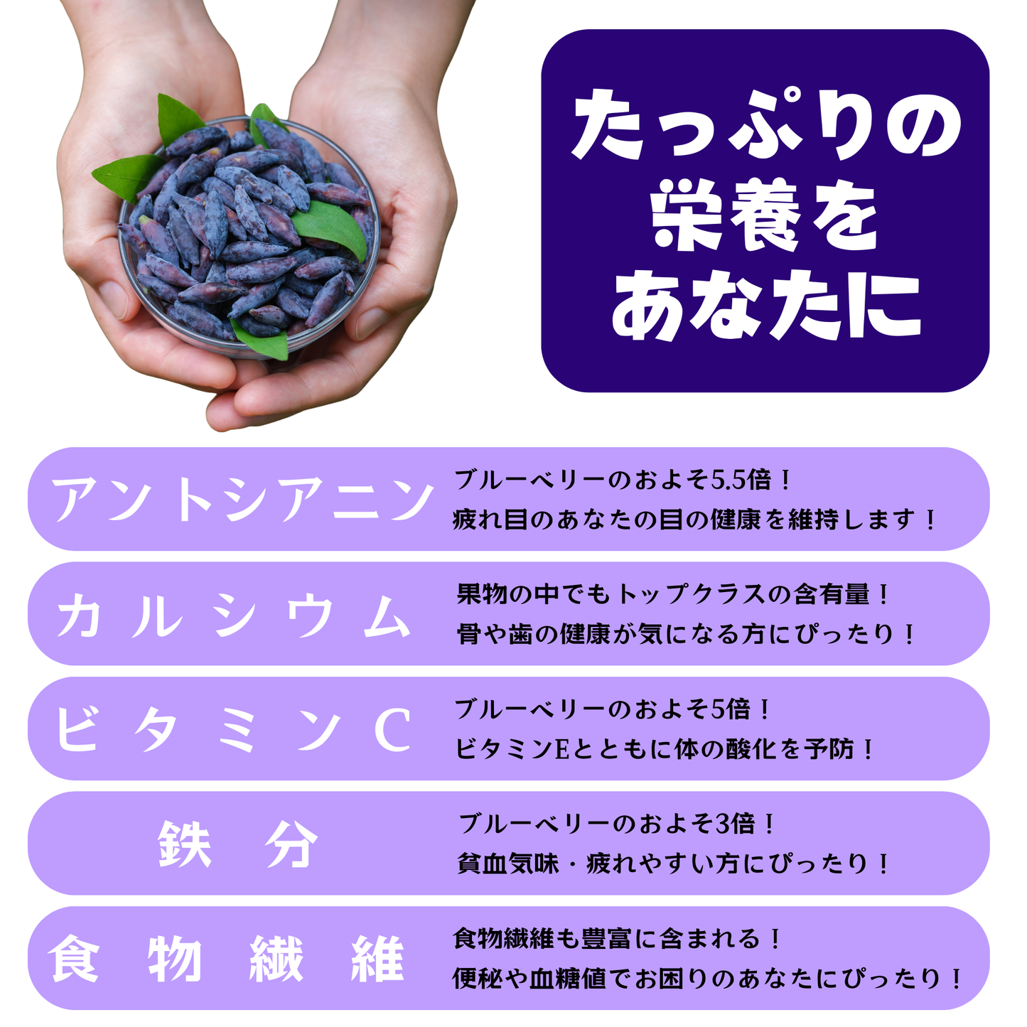 ハスカップの栄養成分アントシアニンなどを示す図