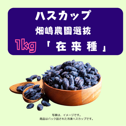 ハスカップ(冷凍果実)優品5㌔(箱0.3㌔含む) ハスカップ(冷凍果実 ハスカップ(冷凍果実)優品5㌔(箱0.3㌔含む) ハスカップ(冷凍果実