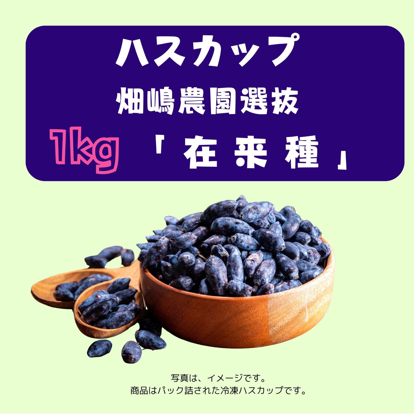 ハスカップ(冷凍果実) 優品1㌔ 北海道産冷凍ハスカップ 1kg〈在来種〉※1回のご購入で1セット