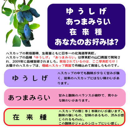 ゆうしげとあつまみらいの特徴を比較したインフォグラフィック