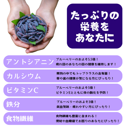 ハスカップの栄養成分アントシアニンなどを示す図