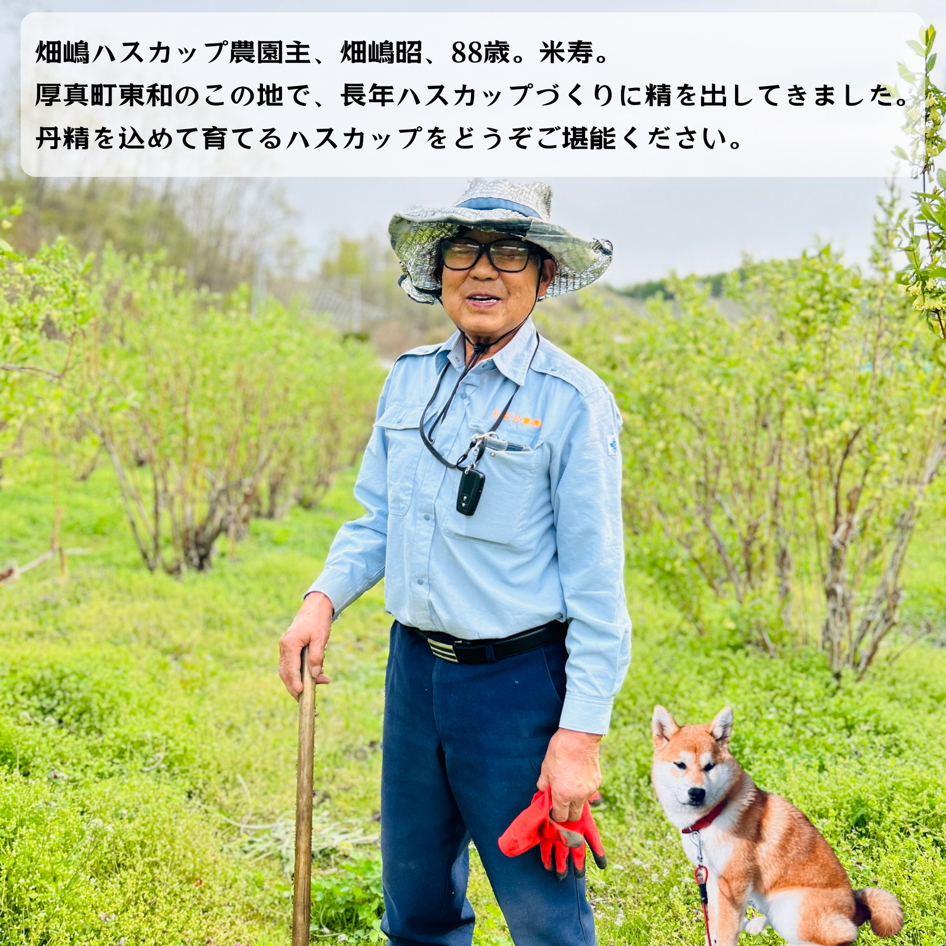 畑嶋ハスカップ農園主と愛犬が畑に立つ写真