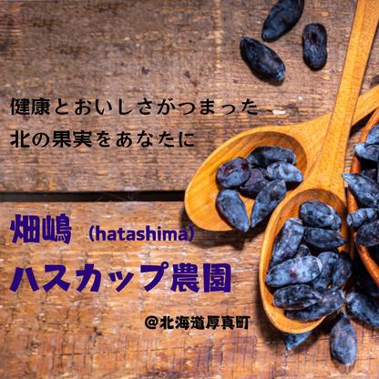 畑嶋ハスカップ農園のブランドロゴと果実